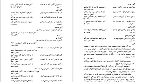 دانلود کتاب فرهنگ تلمیحات سیروس شمیسا PDF