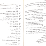 دانلود کتاب ملکه زیبایی لی‌نین مارتین مک دونا PDF