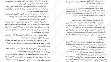 دانلود کتاب دونده‌ی هزارتو جیمز دشنر PDF