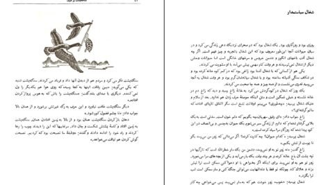 دانلود کتاب قصه های خوب برای بچه های خوب ۱ PDF