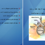 دانلود کتاب اناتومی استخوان شناسی مرتضی بهرامی نژاد PDF