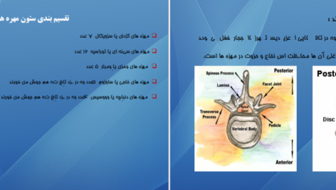 دانلود کتاب اناتومی استخوان شناسی مرتضی بهرامی نژاد PDF