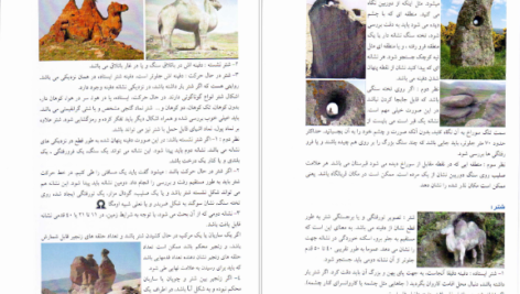 دانلود کتاب علائم دفینه نشانه های گنج علی ولایتی عسگری PDF