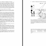 دانلود کتاب معاینه نورولوژیک استفن گلدبرگ PDF