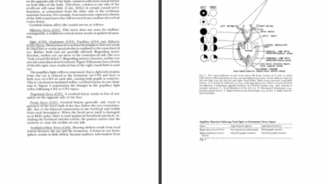 دانلود کتاب معاینه نورولوژیک استفن گلدبرگ PDF