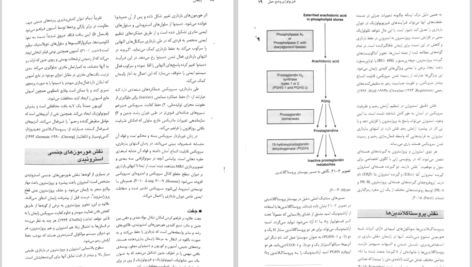 دانلود کتاب بارداری و زایمان ویلیامز جلد ۲ مهرناز ولدان PDF