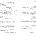 دانلود کتاب ملکه زیبایی لی‌نین مارتین مک دونا PDF