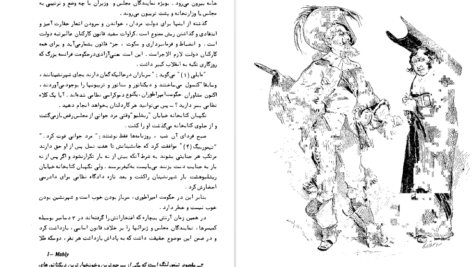 دانلود کتاب ناپلئونی کوچک ویکتور هوگو PDF