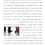 دانلود کتاب روانشناسی تکاملی دیوید باس جلد دوم PDF