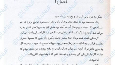 دانلود کتاب درباری از خار و رز جلد ۱ مجموعه سارا جی ماس PDF