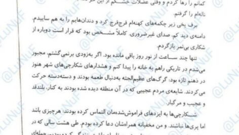 دانلود کتاب درباری از خار و رز جلد ۱ مجموعه سارا جی ماس PDF