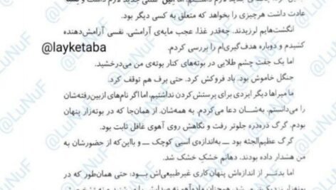 دانلود کتاب درباری از خار و رز جلد ۱ مجموعه سارا جی ماس PDF