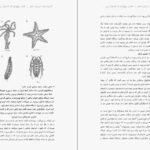 دانلود کتاب اندیشیدن درباره‌ی مغز مایکل اوشی PDF