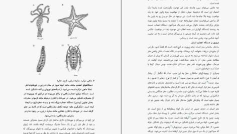 دانلود کتاب اندیشیدن درباره‌ی مغز مایکل اوشی PDF
