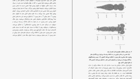 دانلود کتاب اندیشیدن درباره‌ی مغز مایکل اوشی PDF