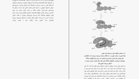دانلود کتاب اندیشیدن درباره‌ی مغز مایکل اوشی PDF