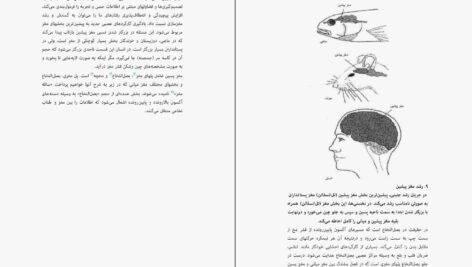 دانلود کتاب اندیشیدن درباره‌ی مغز مایکل اوشی PDF