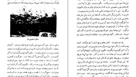 دانلود کتاب اورازان جلال آل احمد PDF
