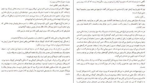 دانلود کتاب بالزاک و خیاط کوچولوی چینی دای سیجی PDF