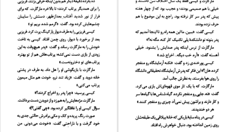 دانلود کتاب به زیرزمین نزدیک نشو آر. ال. استاین PDF