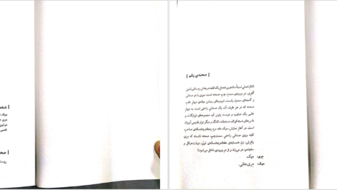 دانلود کتاب جمجمه‌ای در کانه مارا مارتین مک دونا PDF