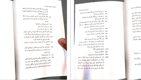 دانلود کتاب جمجمه‌ای در کانه مارا مارتین مک دونا PDF