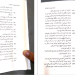 دانلود کتاب جمجمه‌ای در کانه مارا مارتین مک دونا PDF