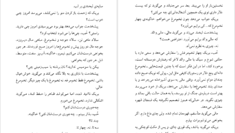 دانلود کتاب مردی در تاریکی پل استر PDF