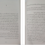دانلود کتاب هذیان‌های ذهن یک قربانی سال بلو PDF