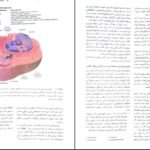 دانلود کتاب آسیب شناسی پایه رابینز کومار ‍PDF
