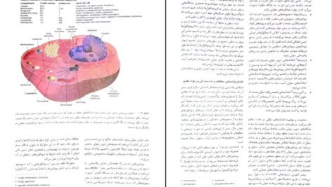 دانلود کتاب آسیب شناسی پایه رابینز کومار ‍PDF