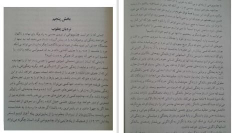 دانلود کتاب انرژی جنسی و یوگا الیزابت هیتچ PDF