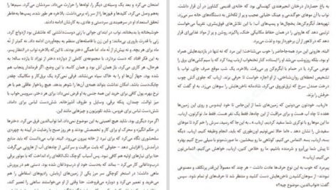 دانلود کتاب بانوی پاریسی ما دانیال معین‌ الدین PDF