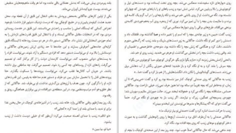 دانلود کتاب بانوی پاریسی ما دانیال معین‌ الدین PDF