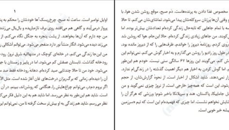 دانلود کتاب به هوای دزدیدن اسب‌ها پر پترسون PDF