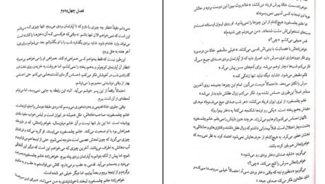 دانلود کتاب در قفل شده فریدا مک فادن PDF