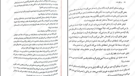 دانلود کتاب در قفل شده فریدا مک فادن PDF