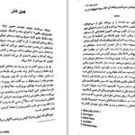 دانلود کتاب سم هستم بفرمایید داستین تائو PDF