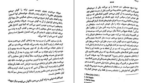 دانلود کتاب سم هستم بفرمایید داستین تائو PDF