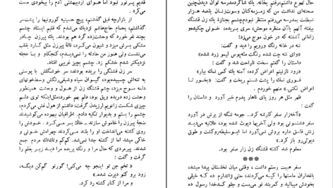 دانلود کتاب شلوار های وصله دار رسول پرویزی  PDF