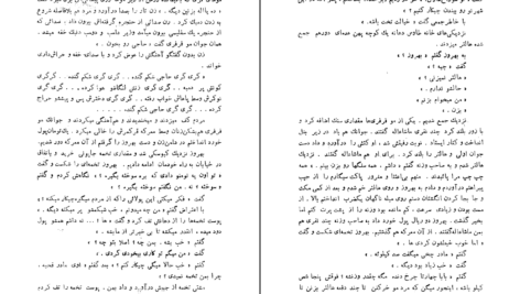 دانلود کتاب طوطی زکریا هاشمی PDF