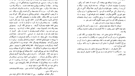 دانلود کتاب طوطی زکریا هاشمی PDF