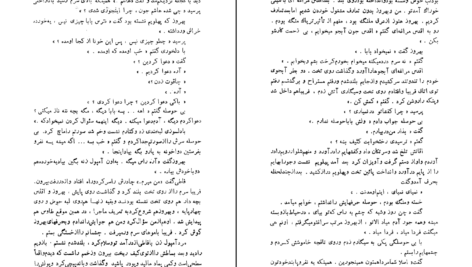 دانلود کتاب طوطی زکریا هاشمی PDF
