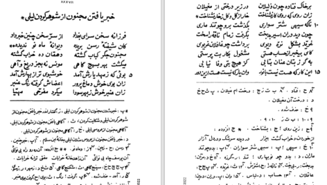 دانلود کتاب لیلی و مجنون نظامی گنجوی PDF