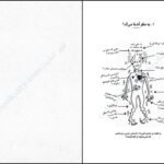 دانلود کتاب من و زندگی با هیولای درون بو ایسبت PDF
