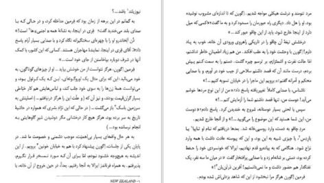 دانلود کتاب شنی خورخه لوئیس برگس PDF