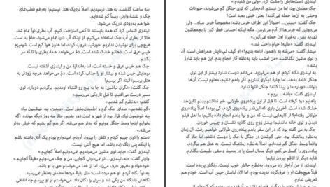 دانلود کتاب یکی پس از دیگری فریدا مک فادن PDF