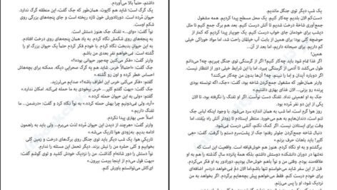 دانلود کتاب یکی پس از دیگری فریدا مک فادن PDF
