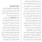 دانلود کتاب زنان سیبیلو و مردان بی ریش افسانه نجم آبادی PDF