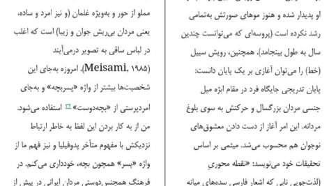 دانلود کتاب زنان سیبیلو و مردان بی ریش افسانه نجم آبادی PDF